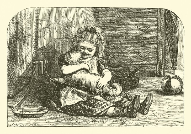 Avevo un cagnolino da English School