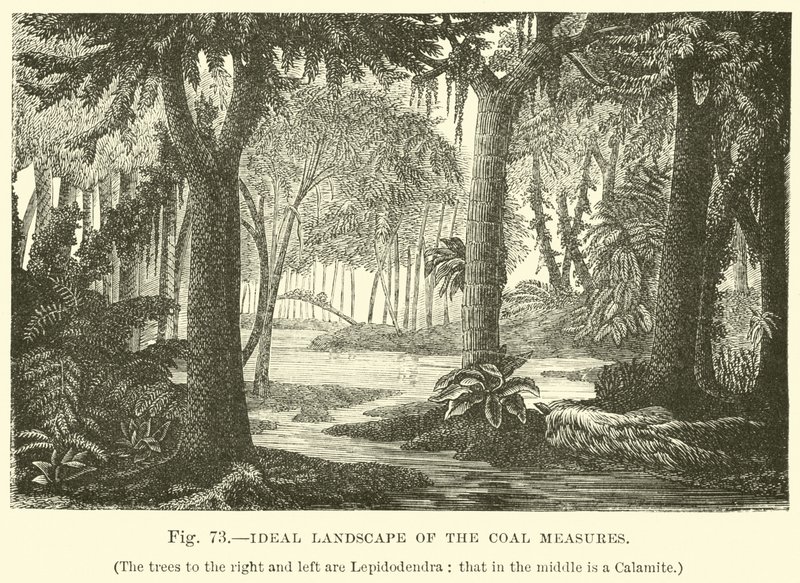 Paesaggio ideale delle misure del carbone da English School