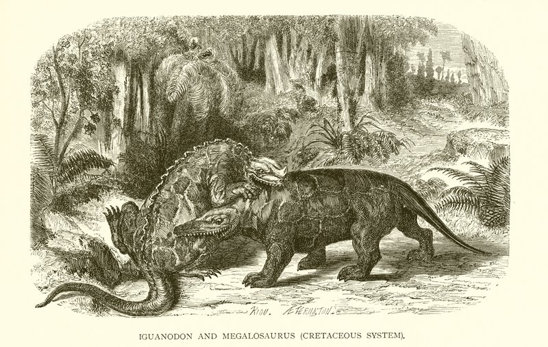 Iguanodonte e Megalosauro, Sistema Cretaceo da English School
