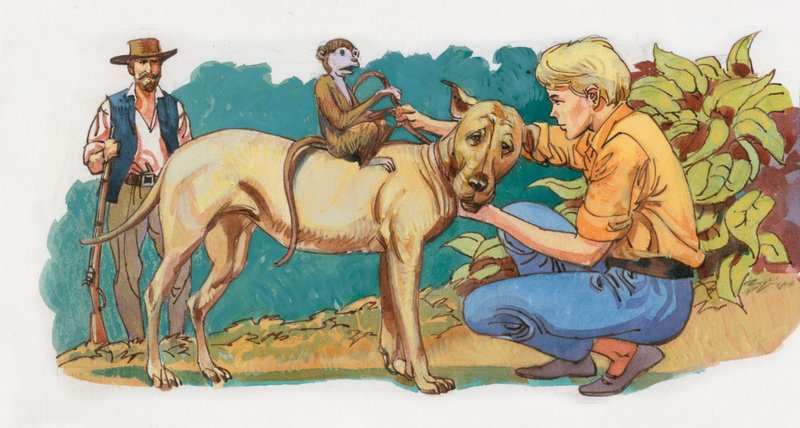 Illustrazione per Swiss Family Robinson da English School