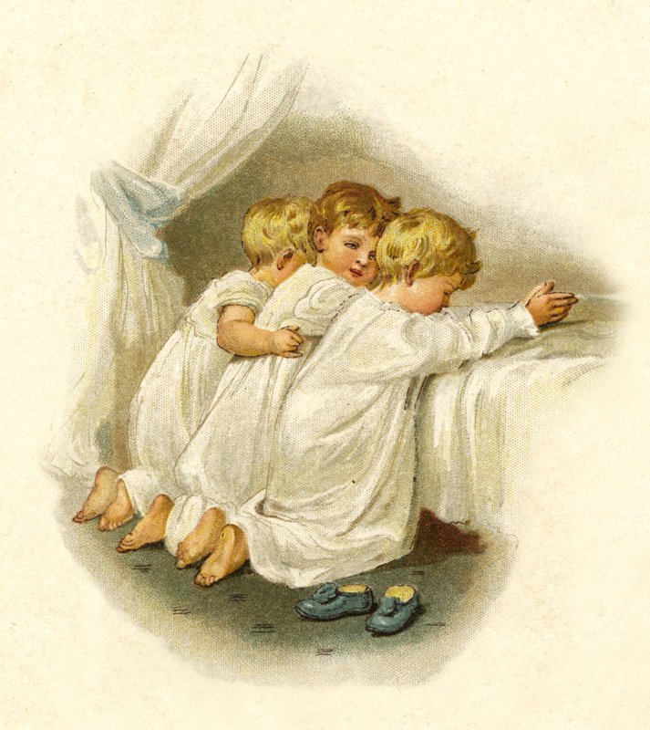 Illustrazione per 