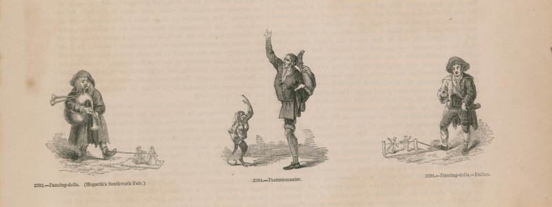 Illustrazioni dell