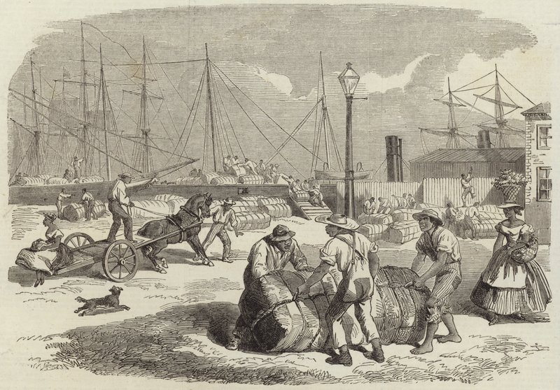 Illustrazioni della guerra in America da English School