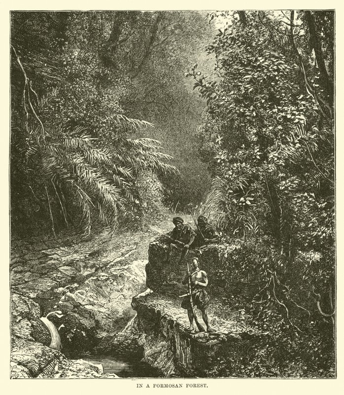 In una foresta di Formosa da English School