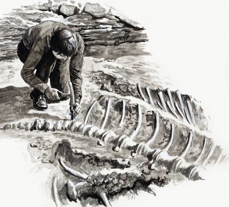 Nei giorni dei dinosauri: Battaglia dei giganti da English School