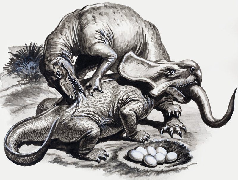 Nei giorni dei dinosauri: scoperta nel deserto da English School