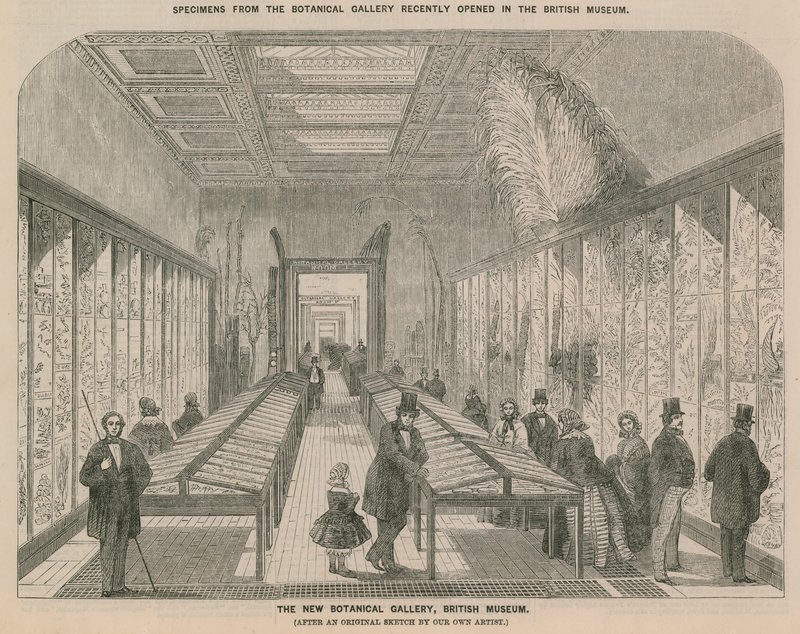 Veduta interna della nuova Galleria Botanica da English School