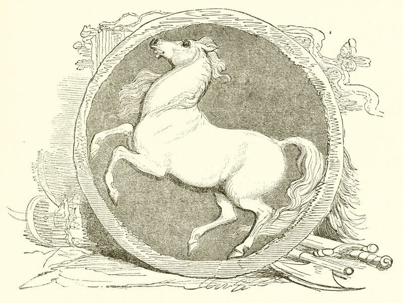 Invicta, l