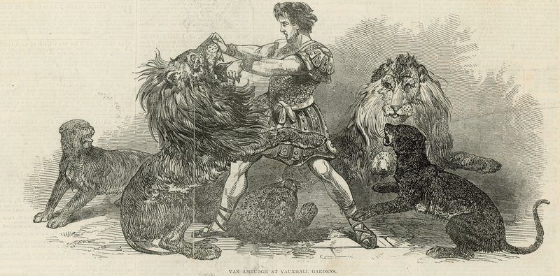 Isaac van Amburgh nei Vauxhall Gardens da English School