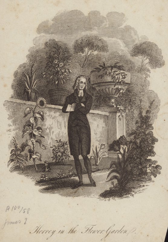 James Hervey nel giardino fiorito da English School