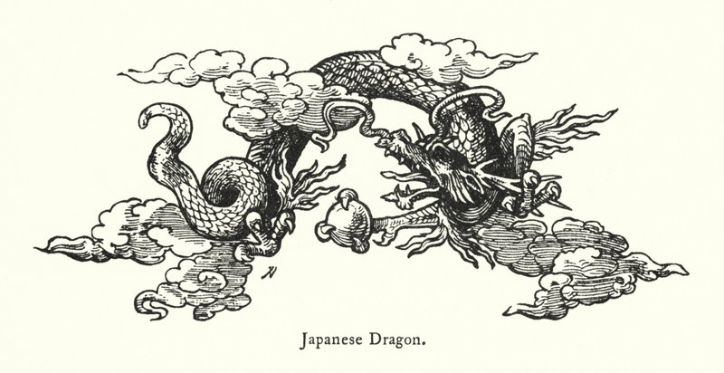 Drago giapponese da English School