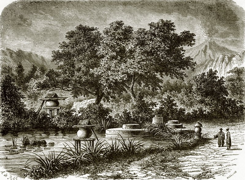 Giardini del tè giapponesi da English School