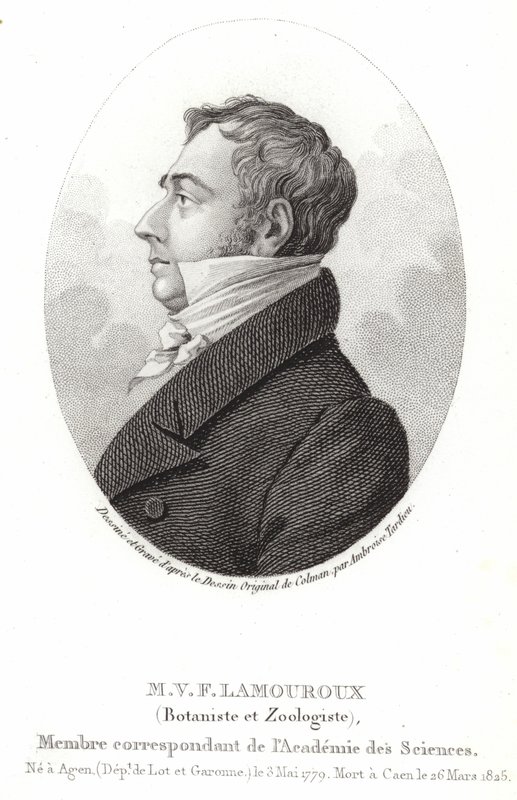 Jean Vincent Félix Lamouroux da English School