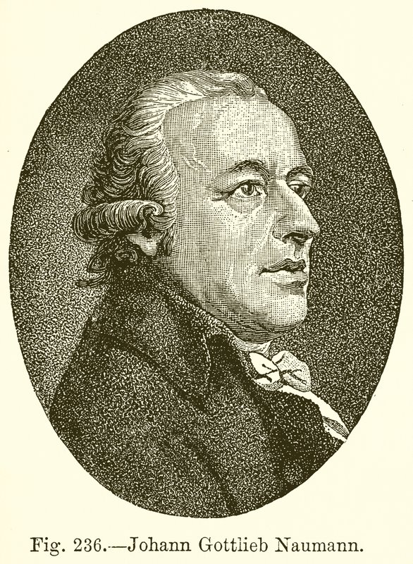 Johann Gottlieb Naumann da English School