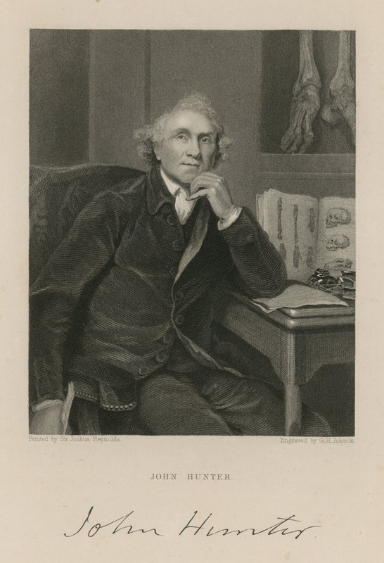 John Hunter da English School