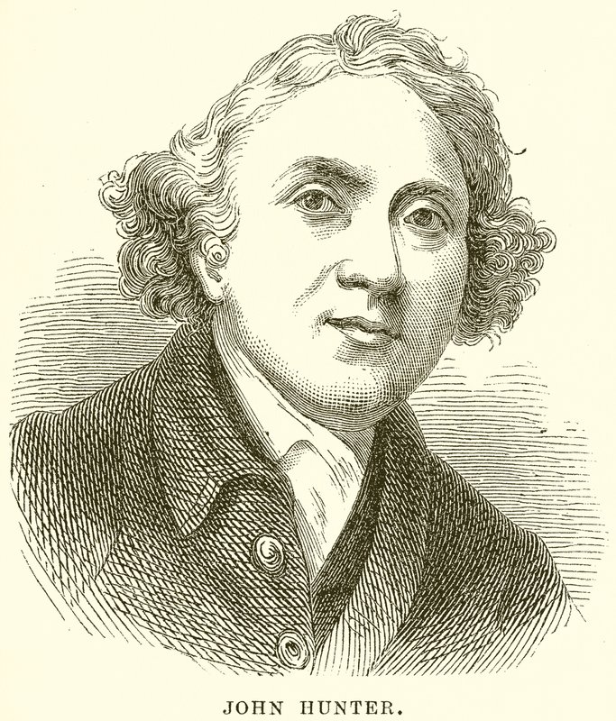 John Hunter da English School