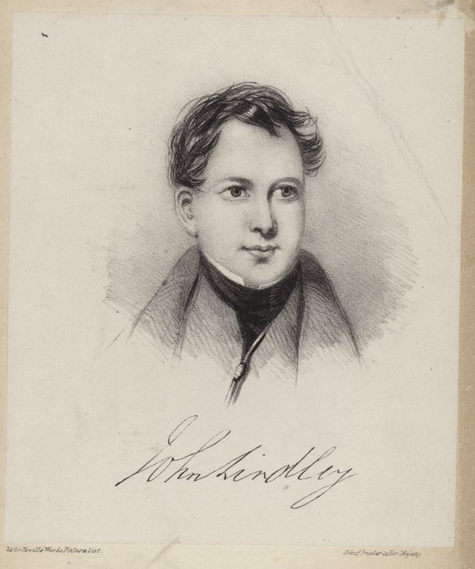 John Lindley da English School