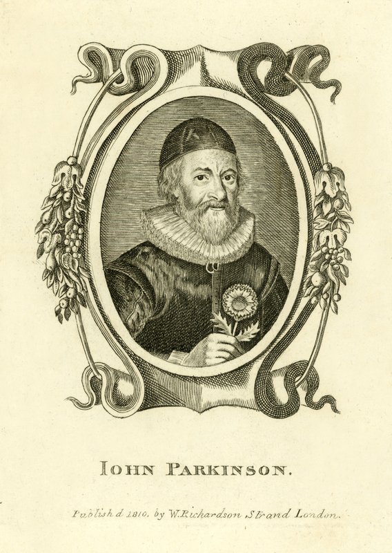 John Parkinson da English School