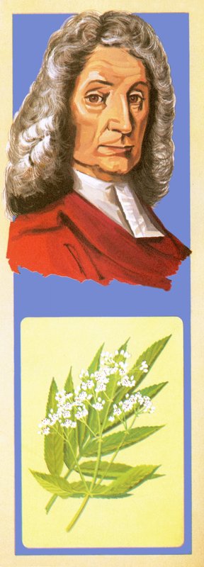 John Ray da English School