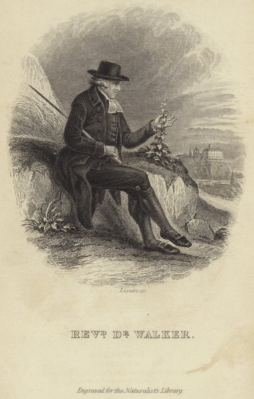John Walker da English School