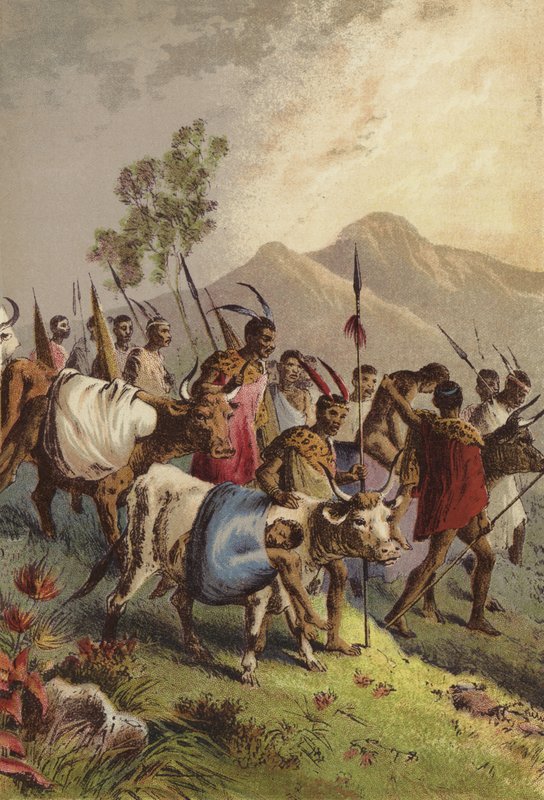 Kaffir che trasportano i loro feriti dalla guerra da English School