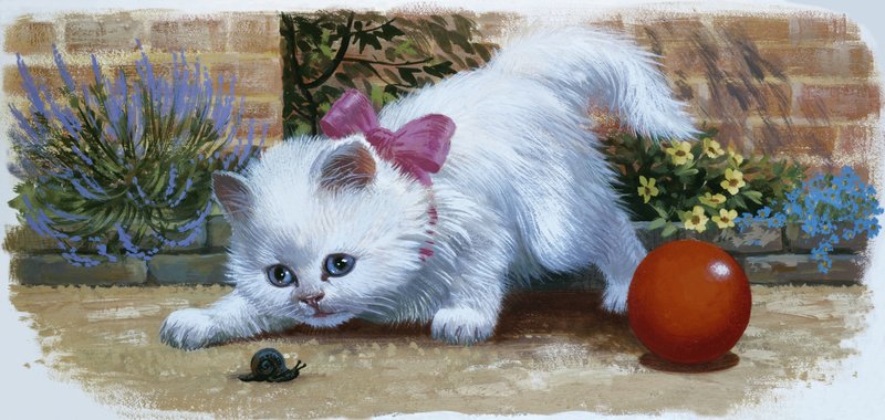 Gattino con lumaca e palla da English School