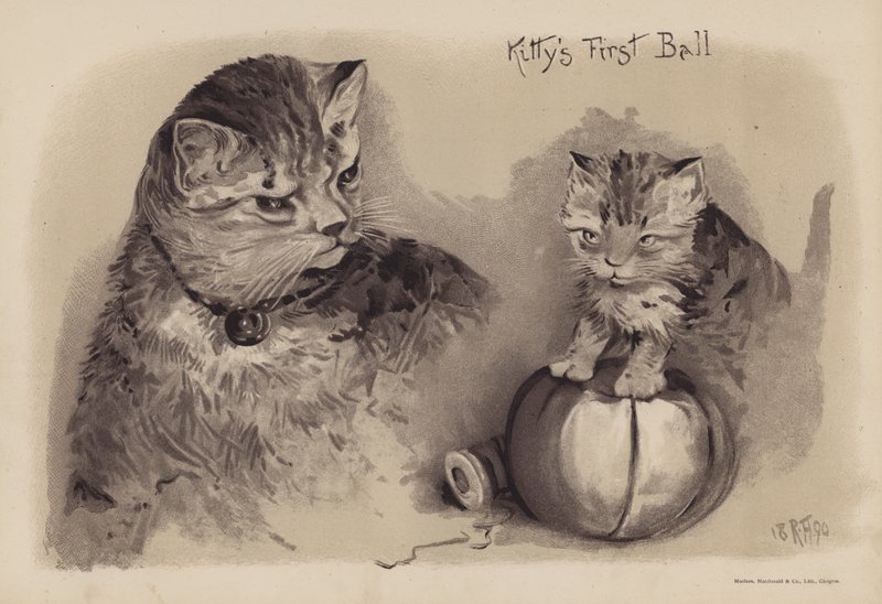 Il primo ballo di Kitty (cromolito) da English School