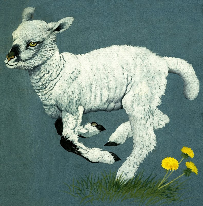 Agnello da English School