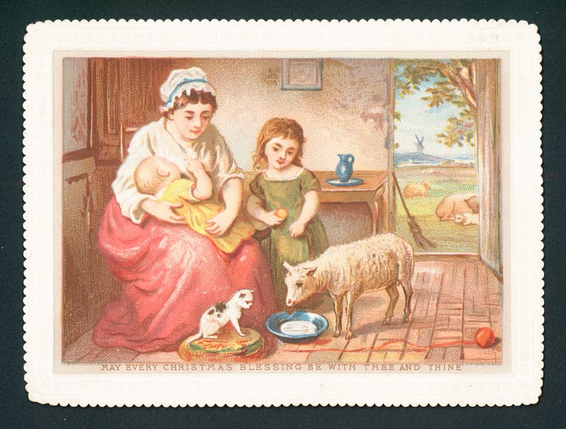 Agnello che beve latte in cucina da English School