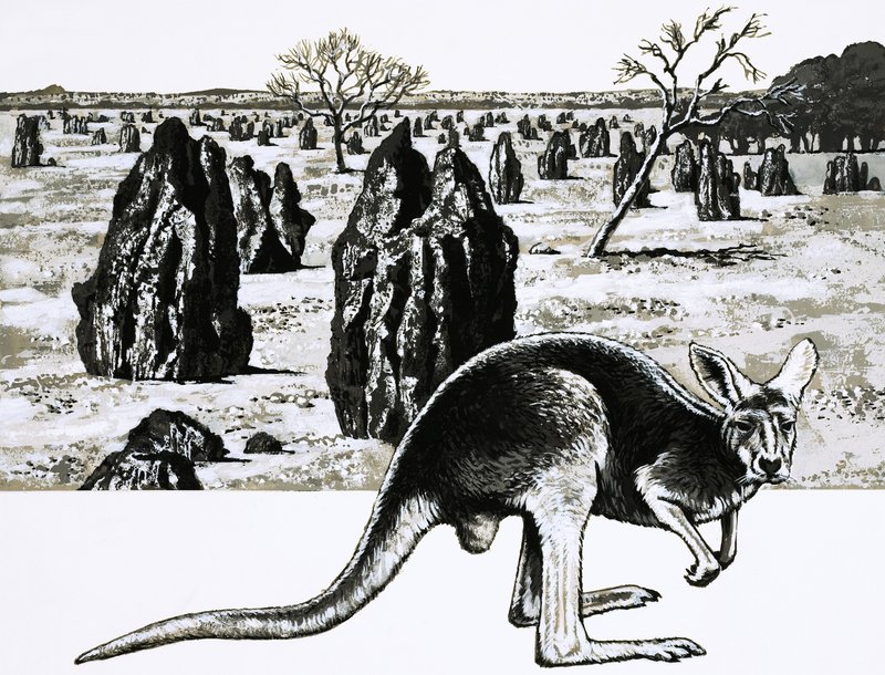 Grandi termitai vicino a Darwin, Australia, e un canguro in primo piano da English School