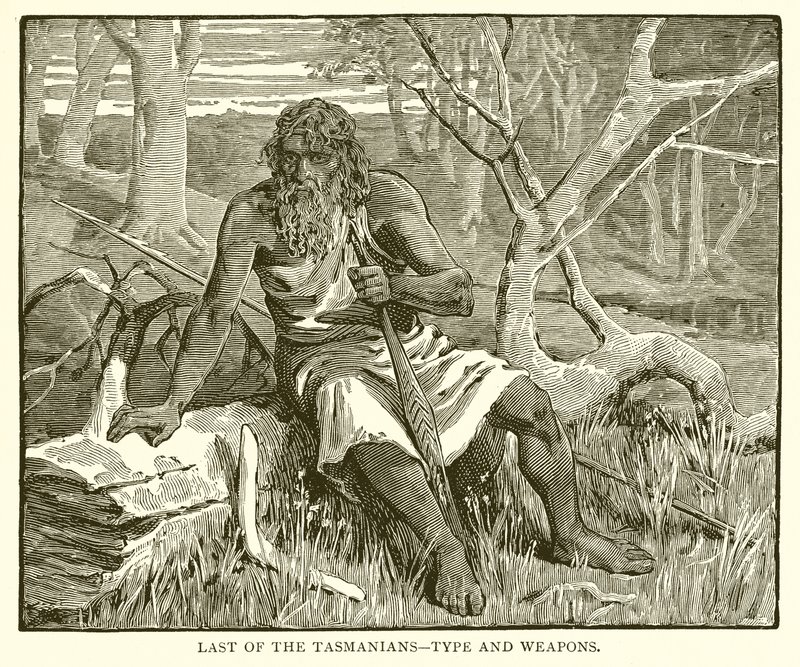 Ultimi dei Tasmaniani - Tipo e armi da English School