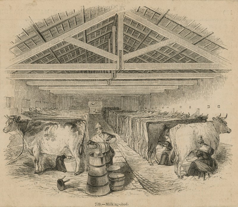 Laycocks Dairy Farm, datato luglio 1841 da English School