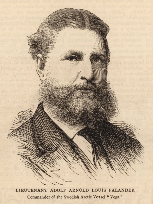 Tenente Adolf Arnold Louis Palander (incisione) da English School