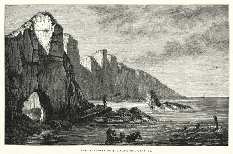 Pesca di aragoste sulla costa della Normandia (incisione) da English School