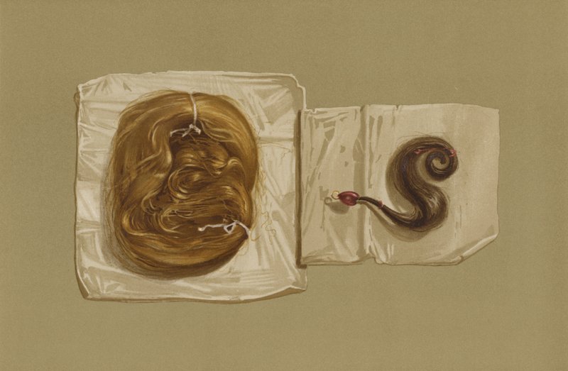 Ciocca di capelli di Maria Regina di Scozia, ciocca di capelli di Re Carlo I (cromolitografia) da English School