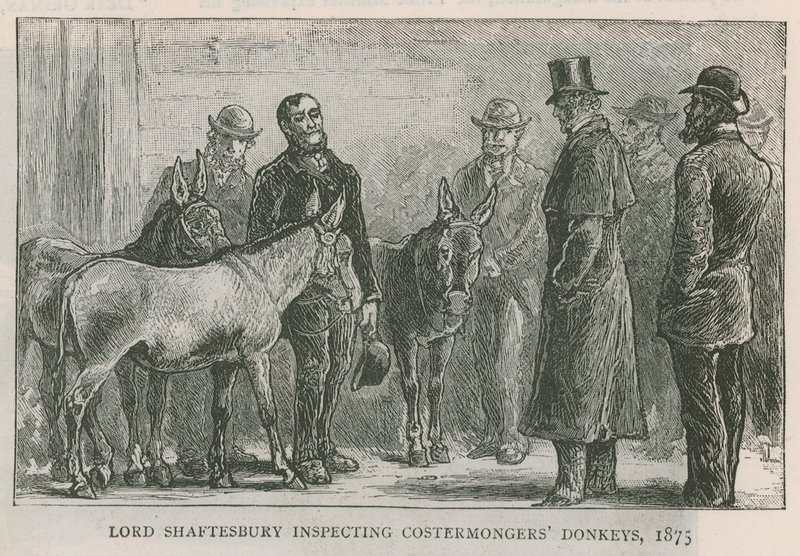Lord Shaftesbury ispeziona gli asini dei costermongers da English School