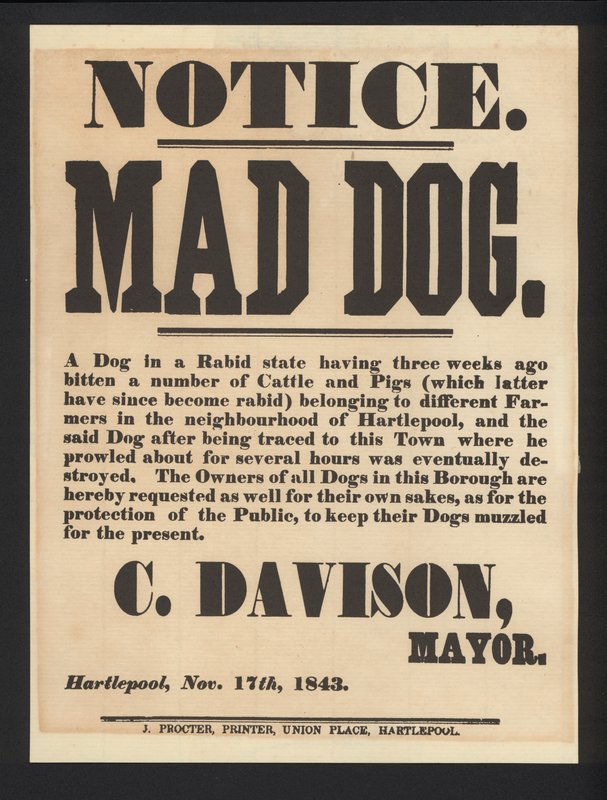 Avviso di Cane Rabbioso, Hartlepool, 1843 da English School