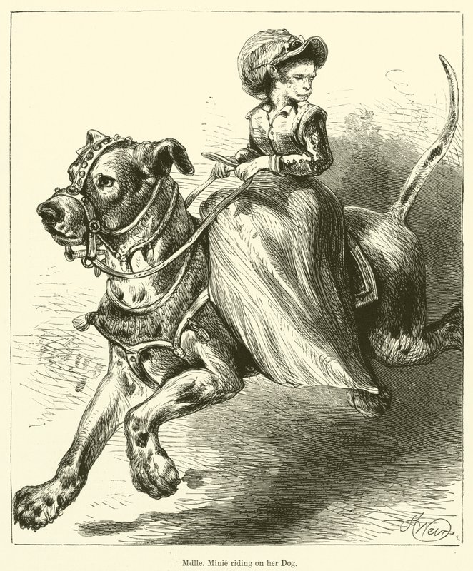 Mademoiselle Minie che cavalca il suo cane da English School