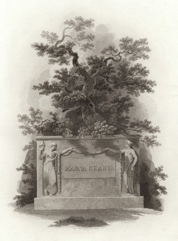 Magna Carta da English School