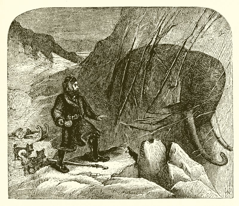 Mammut nel ghiaccio da English School