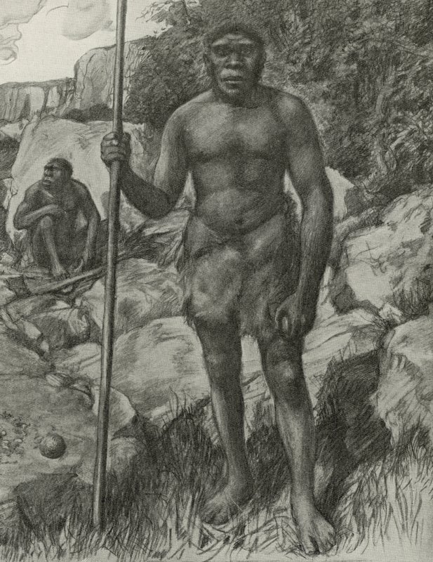Uomo il cui cranio è stato scoperto in Rhodesia nel 1921 da English School