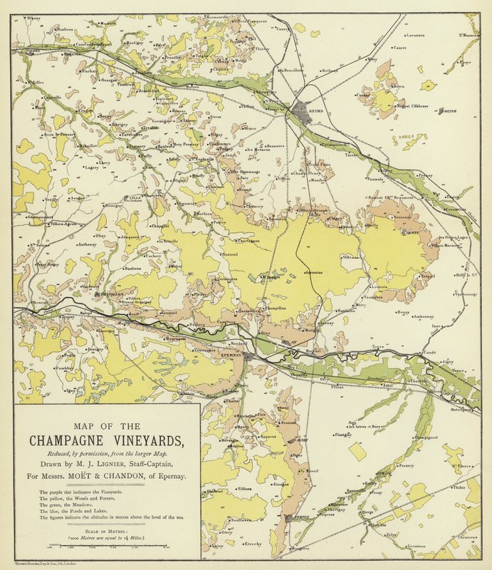 Mappa dei vigneti della Champagne da English School