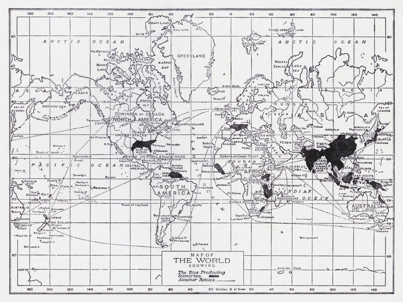 Mappa del mondo che mostra i paesi produttori di riso da English School