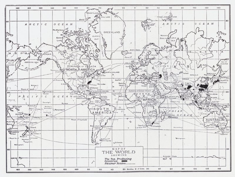 Mappa del mondo che mostra i paesi produttori di tè da English School