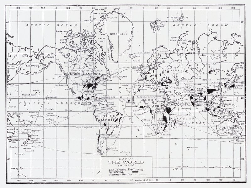 Mappa del mondo che mostra i paesi produttori di tabacco da English School