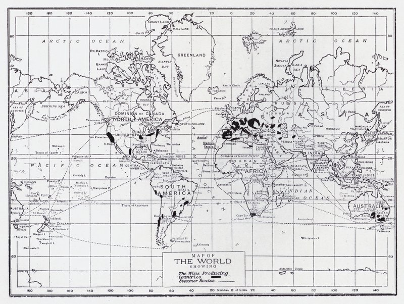 Mappa del mondo che mostra i paesi produttori di vino da English School