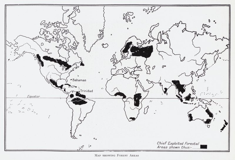 Mappa che mostra le aree forestali da English School
