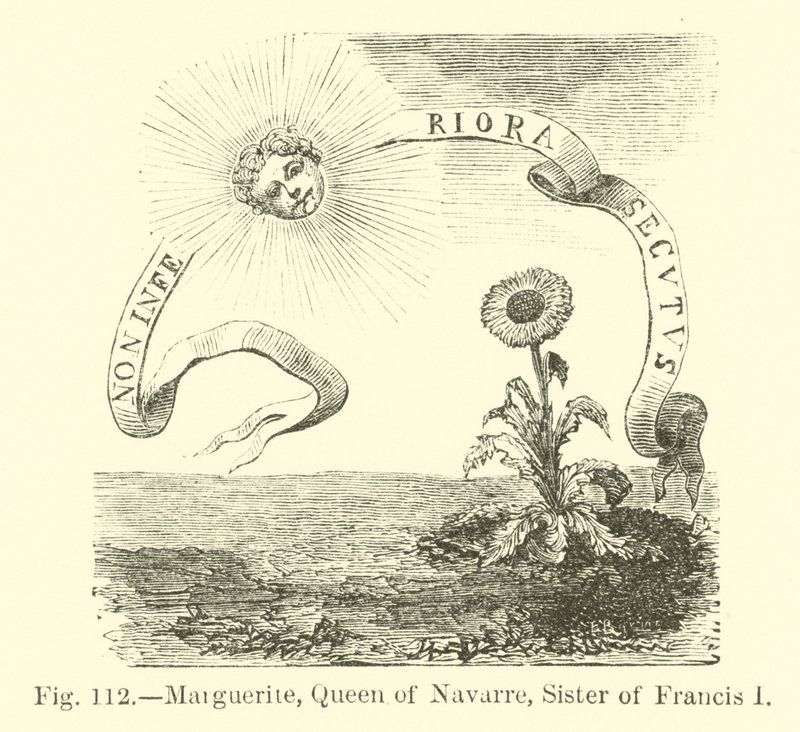 Margherita, Regina di Navarra, Sorella di Francesco I da English School