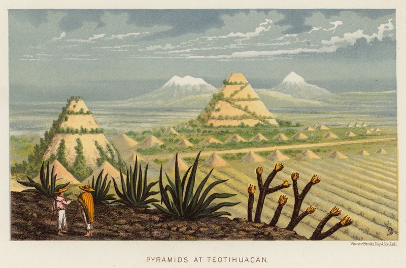 Messico: Piramidi di Teotihuacan da English School