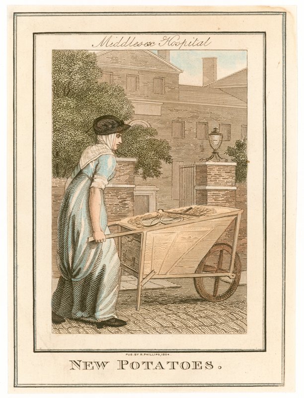 Ospedale del Middlesex. Patate nuove da English School